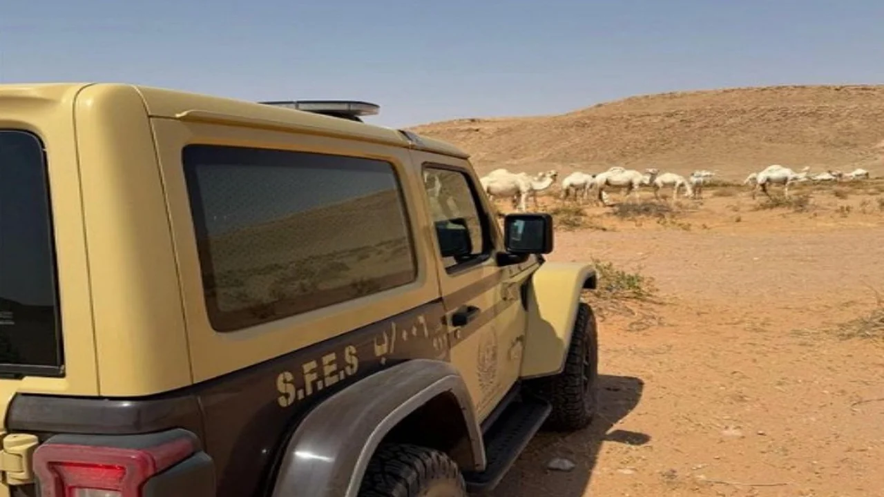 ضبط مواطن لمخالفته أنظمة الرعي والإضرار بالغطاء النباتي في محمية الملك عبدالعزيز